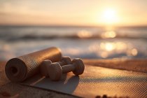 WildFit Namaste Yoga Set